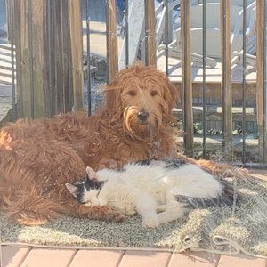 Meet your Posher, Val